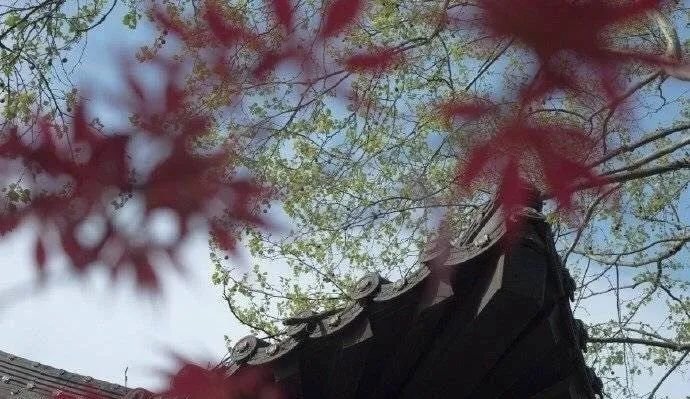 中风圣方,清代名医王清任毕生经验总结,治一切中风后遗症 - 第2张 中风圣方,清代名医王清任毕生经验总结,治一切中风后遗症 - 第2张