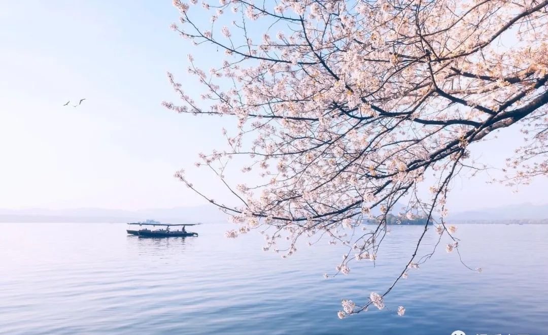 补心养心神仙方药,摆脱心烦、心慌、心悸、心律不齐、失眠、健忘 - 第2张 补心养心神仙方药,摆脱心烦、心慌、心悸、心律不齐、失眠、健忘 - 第2张