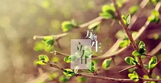 早春第一养生方,老百姓口碑最好的中成药,防风通圣丸的10种妙用 - 第4张 早春第一养生方,老百姓口碑最好的中成药,防风通圣丸的10种妙用 - 第4张