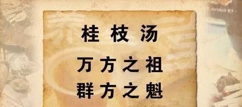 千古伤寒第一方,仅仅5味药,巧妙运用治百病 - 第2张 千古伤寒第一方,仅仅5味药,巧妙运用治百病 - 第2张