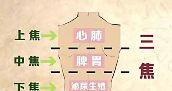上焦多实,中焦多堵,下焦多虚,妙用艾灸,一气贯通! - 第2张 上焦多实,中焦多堵,下焦多虚,妙用艾灸,一气贯通! - 第2张