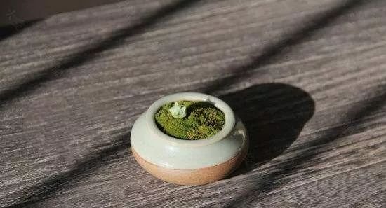气不通则瘀,这2个经典配穴,专治气结为病!艾灸10分钟,气通血活 - 第5张 气不通则瘀,这2个经典配穴,专治气结为病!艾灸10分钟,气通血活 - 第5张