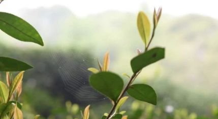 上火多由虚寒起，火在上，寒在下，一穴一药，古方去火有奇效 - 第2张