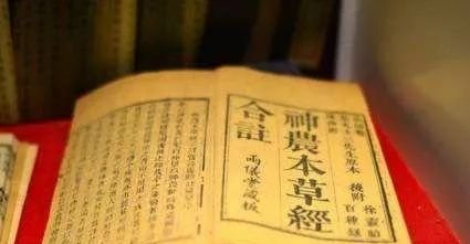 血虚又血瘀，中医养血第一药，补血又活血，散寒又祛瘀，仅仅一味药 - 第2张