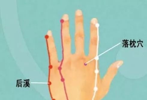 手上有个“落枕穴”,5分钟见效! - 第2张 手上有个“落枕穴”,5分钟见效! - 第2张