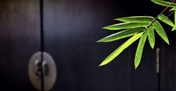 艾灸后,出现这些情况,说明离治愈只差一步,请务必坚持! - 第2张 艾灸后,出现这些情况,说明离治愈只差一步,请务必坚持! - 第2张