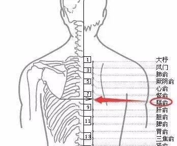 这是你身上的阿胶穴,中医几千年总结,很多人却忽略了 - 第2张 这是你身上的阿胶穴,中医几千年总结,很多人却忽略了 - 第2张