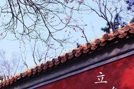 立冬灸命门,胜过人参加鹿茸!今冬常灸命门穴,明年开春能打虎! - 第2张 立冬灸命门,胜过人参加鹿茸!今冬常灸命门穴,明年开春能打虎! - 第2张