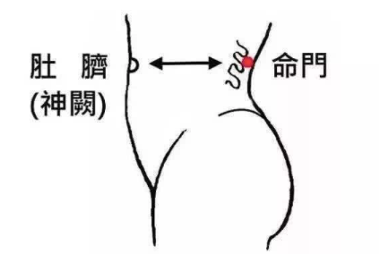 立冬灸命门,胜过人参加鹿茸!今冬常灸命门穴,明年开春能打虎! - 第4张 立冬灸命门,胜过人参加鹿茸!今冬常灸命门穴,明年开春能打虎! - 第4张