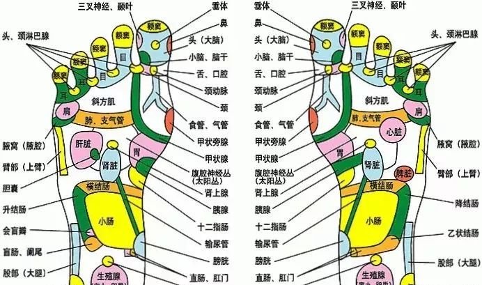 肾经,主宰你一生的健康!这5个穴位,必须灸透! - 第2张 肾经,主宰你一生的健康!这5个穴位,必须灸透! - 第2张