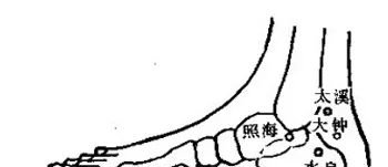 肾经,主宰你一生的健康!这5个穴位,必须灸透! - 第7张 肾经,主宰你一生的健康!这5个穴位,必须灸透! - 第7张