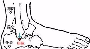 阳气若足千年寿，这个纯阳大药多半人不知道！ - 第2张