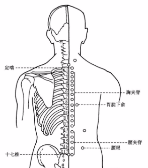 背上这处穴位，相传于1000多年前，从上到下，没有它管不到的地方 - 第4张