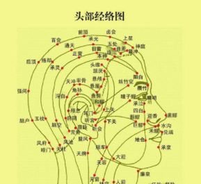 头顶脱发是血虚，两鬓脱发是肝胆火旺......4种脱发，艾灸皆可调！ - 第3张