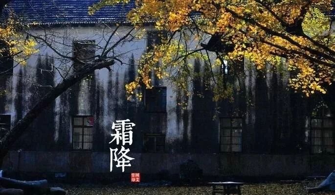 一年补到头,不如补霜降!霜降灸此穴,胜吃母鸡加补药 - 第2张 一年补到头,不如补霜降!霜降灸此穴,胜吃母鸡加补药 - 第2张