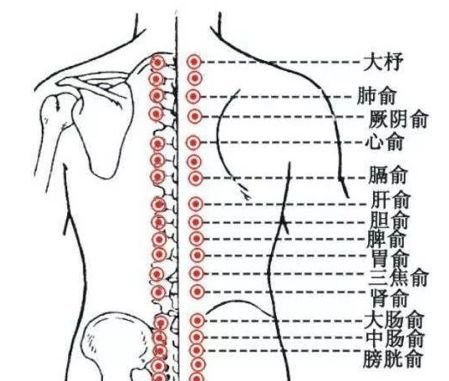 胆囊问题,这几个穴位通治,胆囊炎、胆结石、胆绞痛都有效 - 第2张 胆囊问题,这几个穴位通治,胆囊炎、胆结石、胆绞痛都有效 - 第2张