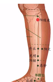 胆囊问题,这几个穴位通治,胆囊炎、胆结石、胆绞痛都有效 - 第4张 胆囊问题,这几个穴位通治,胆囊炎、胆结石、胆绞痛都有效 - 第4张