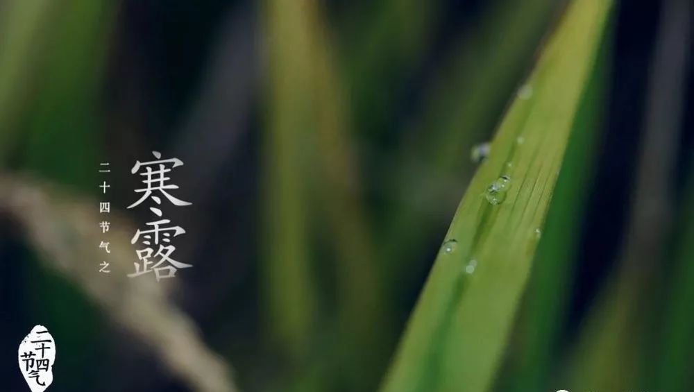 寒露过后,最应当艾灸这里,百病无忧! - 第2张 寒露过后,最应当艾灸这里,百病无忧! - 第2张