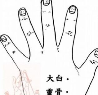 张宝旬中医：一目了然的中医妙招 - 第5张