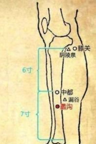 久病入络,艾灸补虚,治疗一切慢性病必灸络穴! - 第14张 久病入络,艾灸补虚,治疗一切慢性病必灸络穴! - 第14张