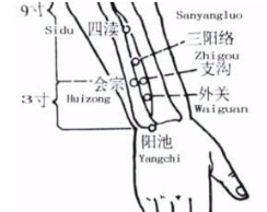 有急病的时候,郄穴就是最神的药 - 第11张 有急病的时候,郄穴就是最神的药 - 第11张