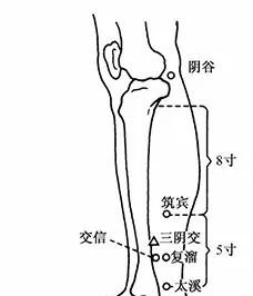 想要容颜年轻,这两个穴位必灸:手上的“美人穴”和腿上的“补肾穴”! - 第4张 想要容颜年轻,这两个穴位必灸:手上的“美人穴”和腿上的“补肾穴”! - 第4张