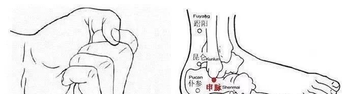 会用八脉交会穴,调病养生事半功倍! - 第3张 会用八脉交会穴,调病养生事半功倍! - 第3张