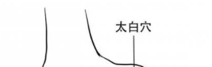 补脾，一切疾病调理的关键，脾胃调和，百病将去！ - 第7张
