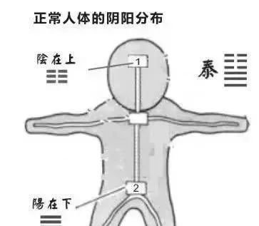 人体的最佳状态是阴在上阳在下，可惜现代人都颠倒了 - 第2张