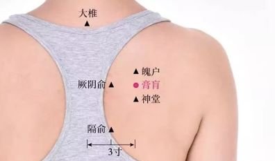 人体的最佳状态是阴在上阳在下，可惜现代人都颠倒了 - 第5张
