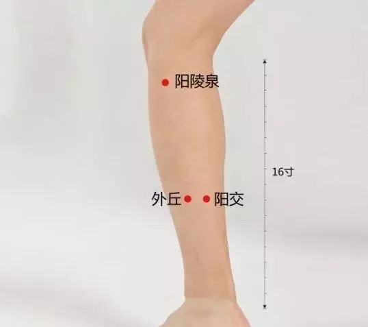 胆经一通,万病无踪。疑病难解,就灸胆经! - 第8张 胆经一通,万病无踪。疑病难解,就灸胆经! - 第8张