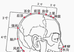 通气血，生黑发，最好的方法是从现在开始多灸头部 - 第4张