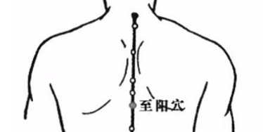 阳气,人体最好的治病良药!艾灸7个生阳点,激活全身阳气! - 第10张 阳气,人体最好的治病良药!艾灸7个生阳点,激活全身阳气! - 第10张