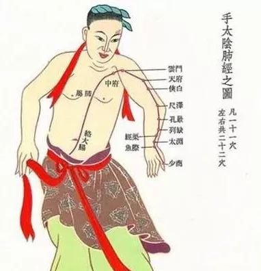 处暑过后是养肺关键期，这么养，未来一年少吃药 - 第3张