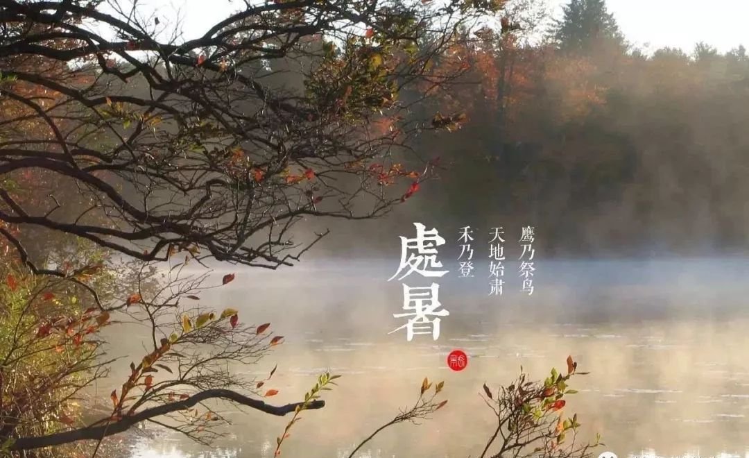 今日处暑,又到了节气相交的关键1天!艾灸带来4大好处 - 第2张 今日处暑,又到了节气相交的关键1天!艾灸带来4大好处 - 第2张