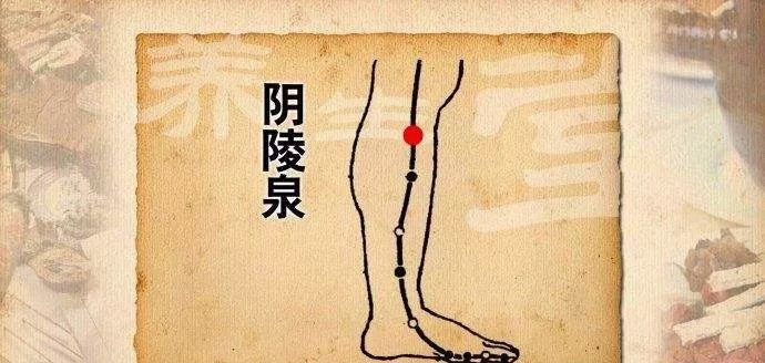 今日处暑，又到了节气相交的关键1天！艾灸带来4大好处 - 第11张