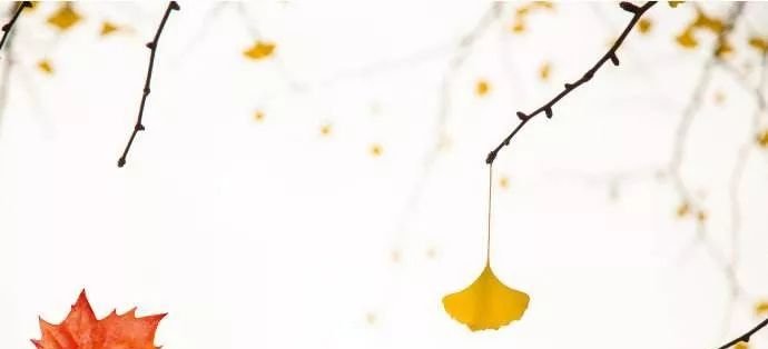 这几个黄金穴位，立秋后艾灸，冬天少生病！ - 第2张