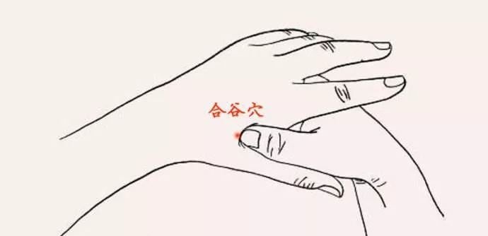 这几个黄金穴位，立秋后艾灸，冬天少生病！ - 第7张