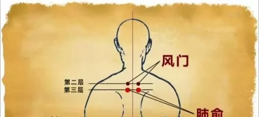 末伏“躲老虎”,除病根的最后冲刺,艾灸万万不可断! - 第6张 末伏“躲老虎”,除病根的最后冲刺,艾灸万万不可断! - 第6张