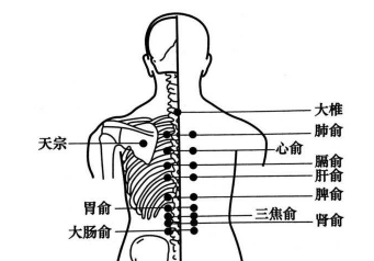 病由气生,气通血活!这样艾灸,疏通全身气血,通调慢性疾病! - 第4张 病由气生,气通血活!这样艾灸,疏通全身气血,通调慢性疾病! - 第4张