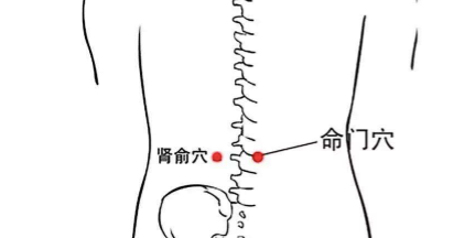 三伏养生最后10天:末伏补肾,冬天没病! - 第4张 三伏养生最后10天:末伏补肾,冬天没病! - 第4张
