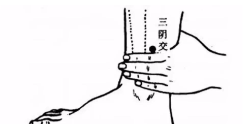 三伏养生最后10天:末伏补肾,冬天没病! - 第6张 三伏养生最后10天:末伏补肾,冬天没病! - 第6张