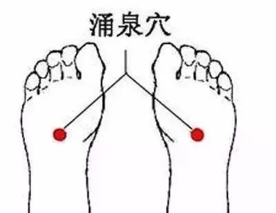 三伏养生最后10天：末伏补肾，冬天没病！ - 第8张