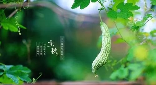立秋之后百病来袭，有一个穴位一定要灸，大补！ - 第3张