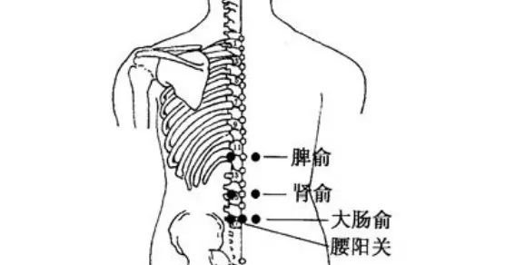 立秋之后百病来袭，有一个穴位一定要灸，大补！ - 第6张