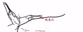腿,寒气大本营 ,艾灸多灸腿,更是养全身 - 第2张 腿,寒气大本营 ,艾灸多灸腿,更是养全身 - 第2张