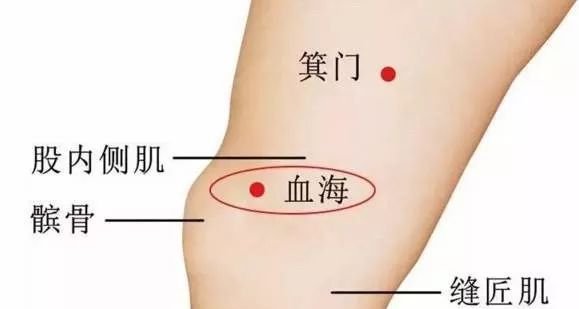 血瘀血虚身体差,万试万灵灸血海! - 第2张 血瘀血虚身体差,万试万灵灸血海! - 第2张