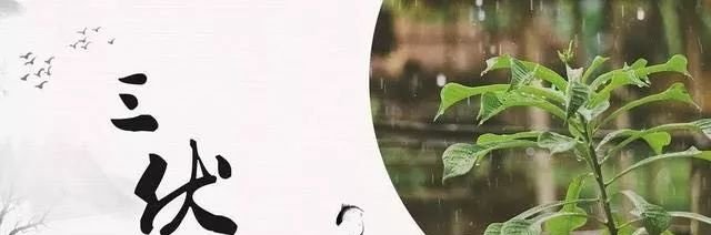 三伏倒计时:三伏灸的好,一年无病痛,最重要的40天怎么灸? - 第2张 三伏倒计时:三伏灸的好,一年无病痛,最重要的40天怎么灸? - 第2张