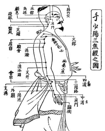 三焦不通老病缠身,疏通三焦的正确方式在这里! - 第11张 三焦不通老病缠身,疏通三焦的正确方式在这里! - 第11张