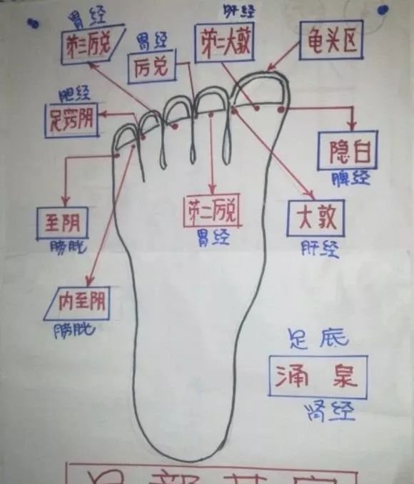 人体有藏十二口井,常灸可从根子上滋养十二经络! - 第4张 人体有藏十二口井,常灸可从根子上滋养十二经络! - 第4张